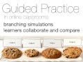 OTC15 - Direct instruction plus guided practi...