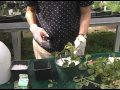 Propagation Tips 02