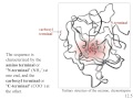 Akiko Allison Gotoh   CHEM103C Chemistry in a Changing World Online Lecture 12042012